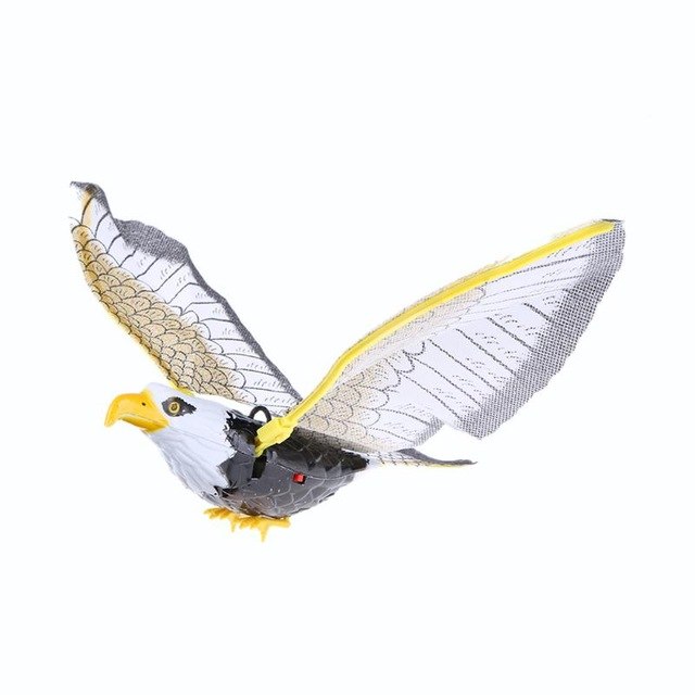 Sound Wing Flying Eagle